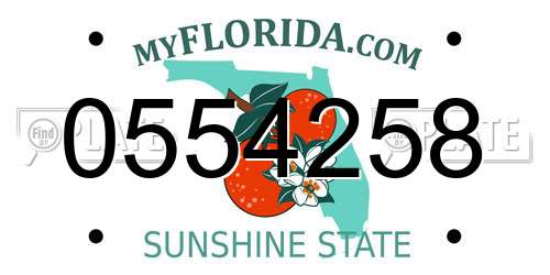 0554258 Florida License Plate