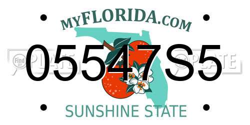 05547S5 Florida License Plate