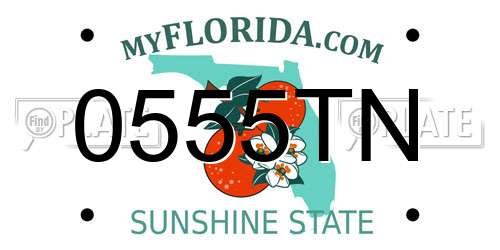 0555TN Florida License Plate