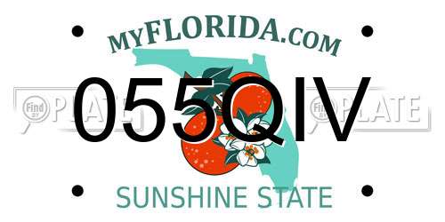 055QIV Florida License Plate
