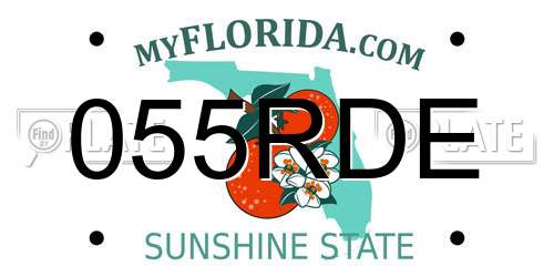 055RDE Florida License Plate