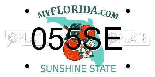 055SE Florida License Plate