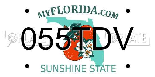 055TDV Florida License Plate
