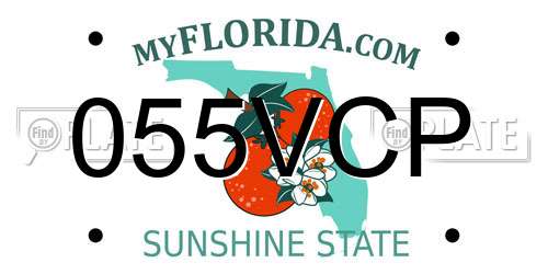 055VCP Florida License Plate