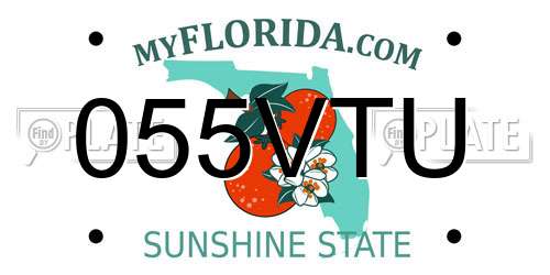 055VTU Florida License Plate