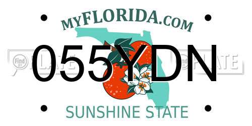 055YDN Florida License Plate