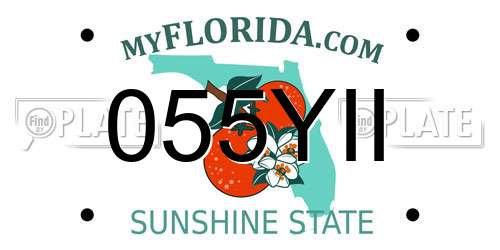 055YII Florida License Plate