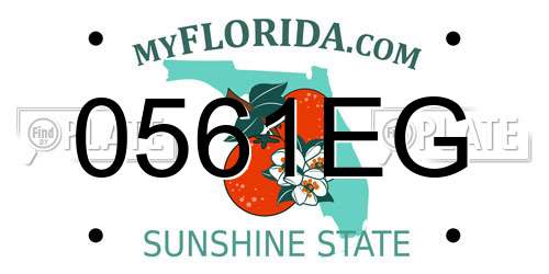 0561EG Florida License Plate