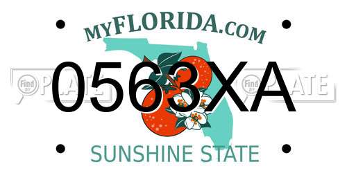 0563XA Florida License Plate