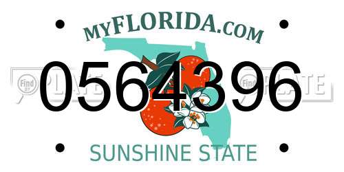 0564396 Florida License Plate