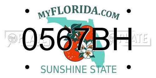 0567BH Florida License Plate