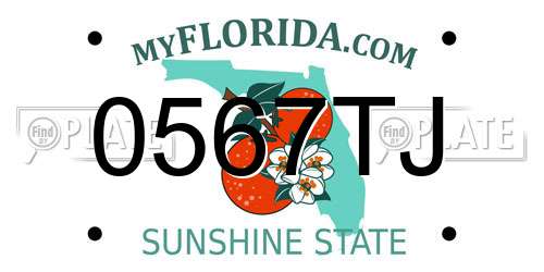 0567TJ Florida License Plate