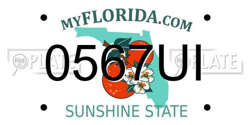 0567UI Florida License Plate