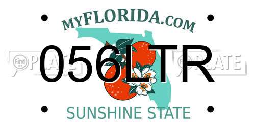 056LTR Florida License Plate