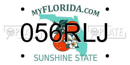 056RLJ Florida License Plate