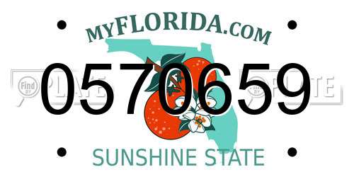 0570659 Florida License Plate