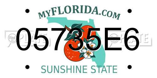 05735E6 Florida License Plate