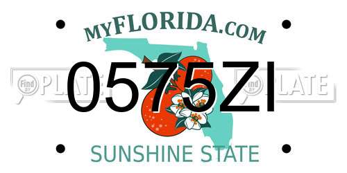 0575ZI Florida License Plate