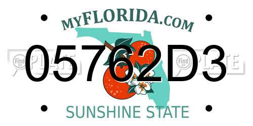05762D3 Florida License Plate