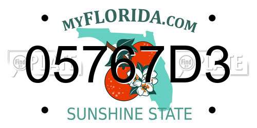05767D3 Florida License Plate