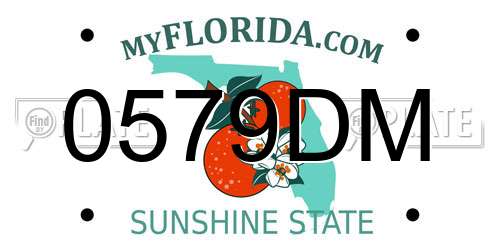 0579DM Florida License Plate