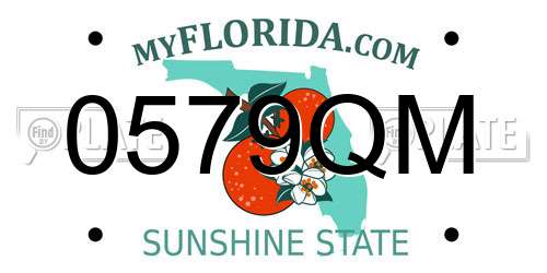 0579QM Florida License Plate