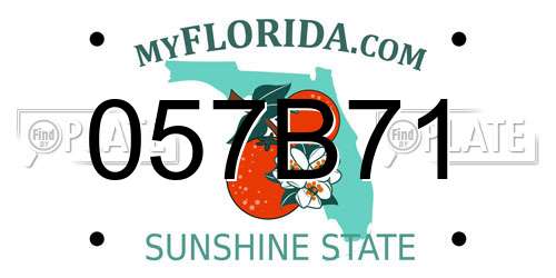 057B71 Florida License Plate