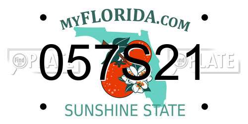 057S21 Florida License Plate