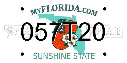 057T20 Florida License Plate