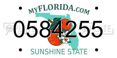 0584255 Florida License Plate