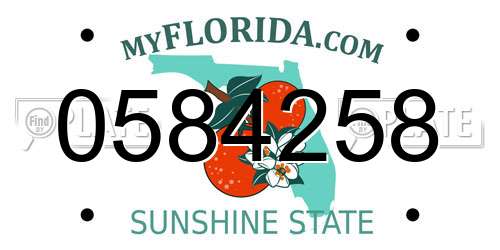 0584258 Florida License Plate