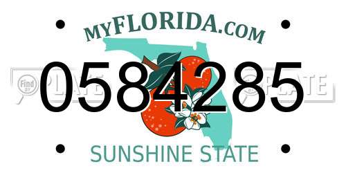0584285 Florida License Plate