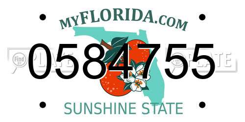 0584755 Florida License Plate