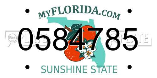 0584785 Florida License Plate