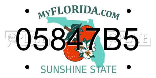 05847B5 Florida License Plate