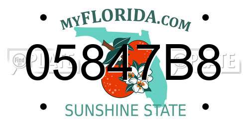 05847B8 Florida License Plate