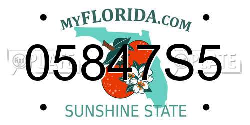 05847S5 Florida License Plate