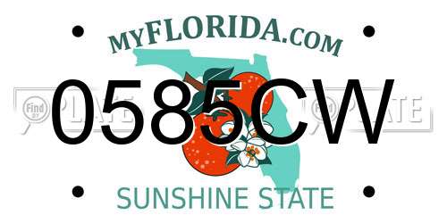 0585CW Florida License Plate