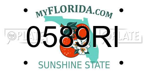 0589RI Florida License Plate