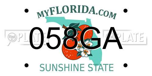 058GA Florida License Plate