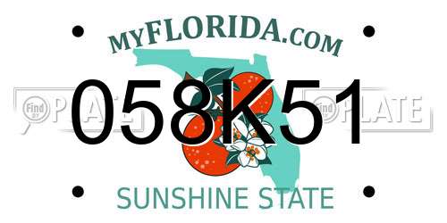 058K51 Florida License Plate