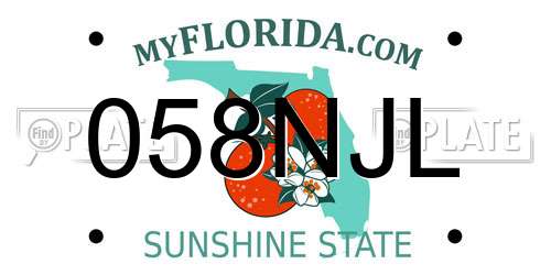 058NJL Florida License Plate