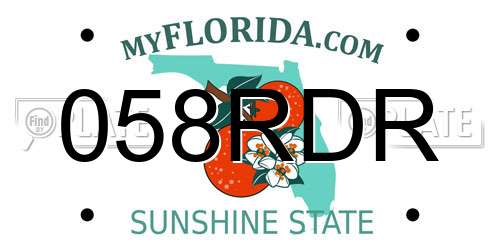 058RDR Florida License Plate
