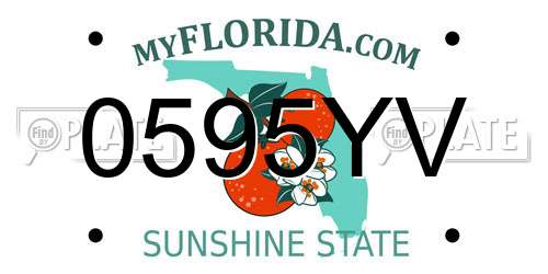 0595YV Florida License Plate