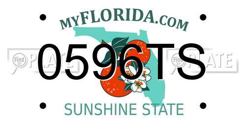 0596TS Florida License Plate