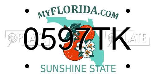 0597TK Florida License Plate