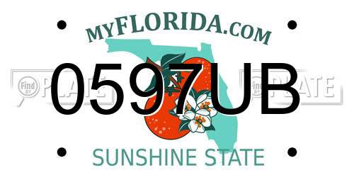 0597UB Florida License Plate