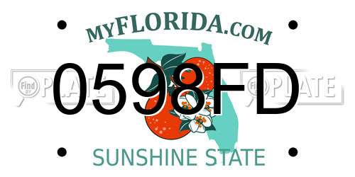 0598FD Florida License Plate