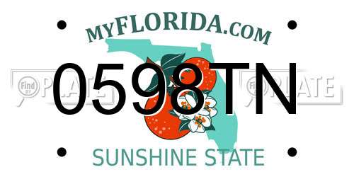 0598TN Florida License Plate