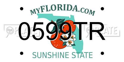 0599TR Florida License Plate